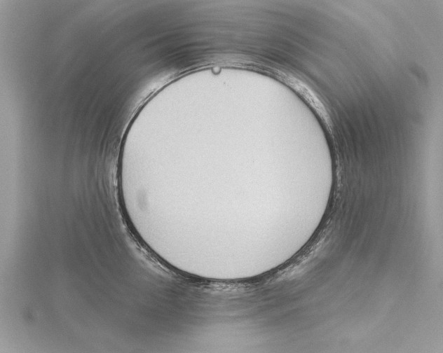 X0000115730954200912031403