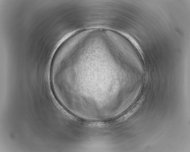 X0000115730957200912031404