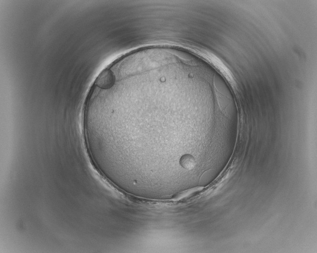 X0000115730958200912031404