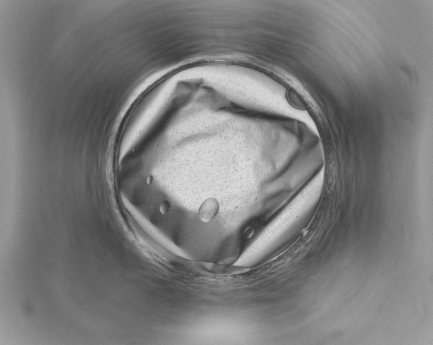 X0000115730959200912031404