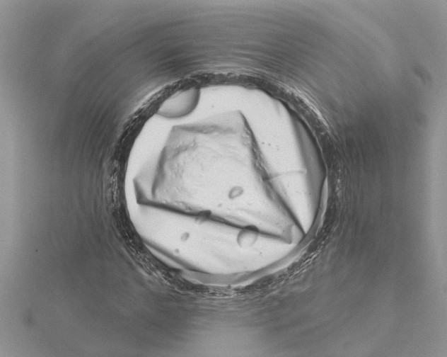 X0000115730968200912031403