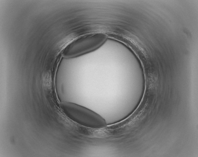 X0000115730969200912031403