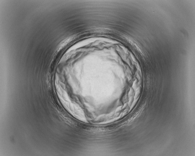 X0000115730970200912031403