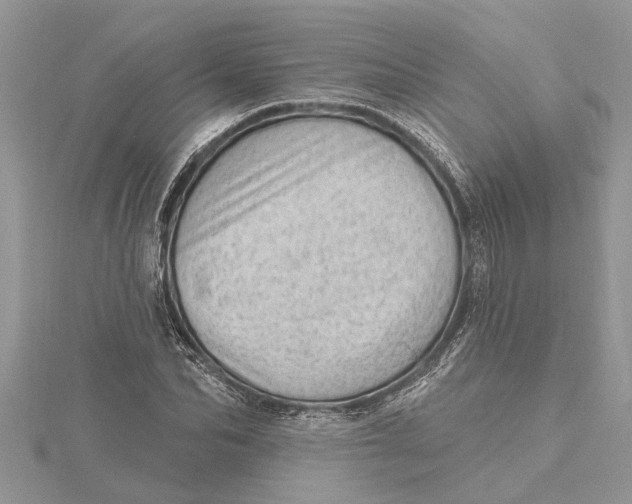 X0000115730974200912031403