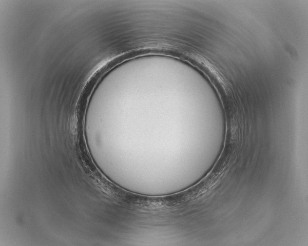 X0000115730975200912031403