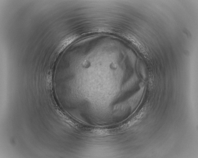 X0000115730977200912031403