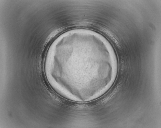 X0000115730978200912031403