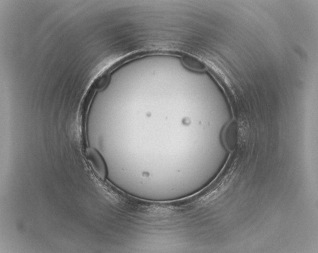 X0000115730981200912031403