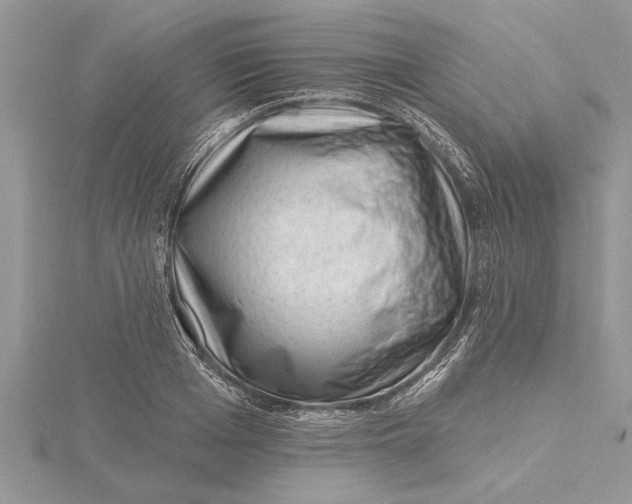 X0000115730985200912031403