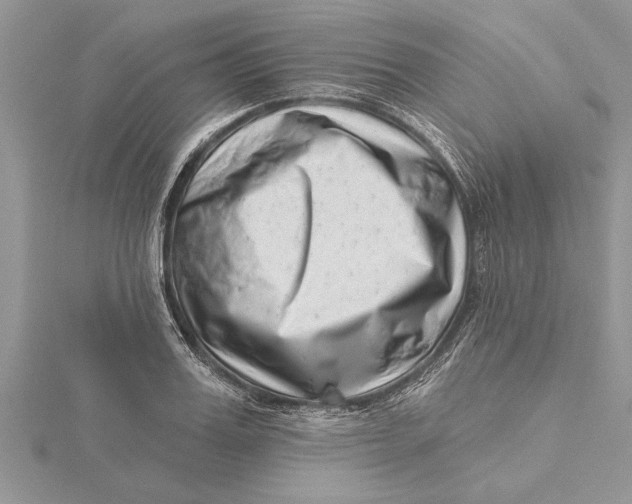 X0000115730987200912031403