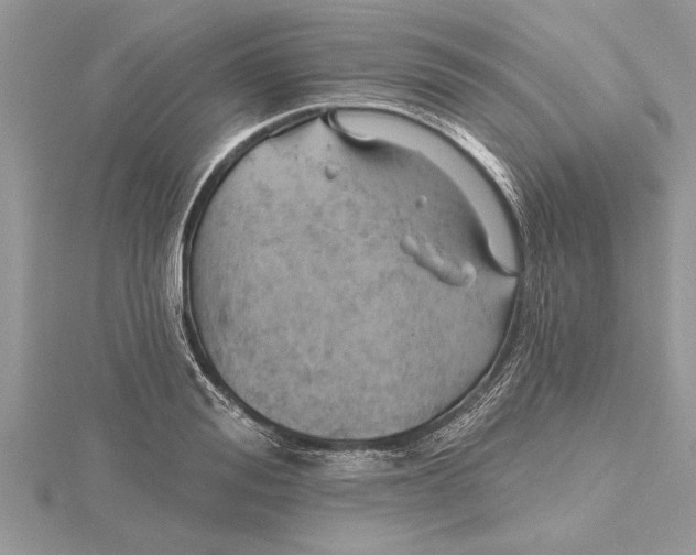 X0000115730988200912031403