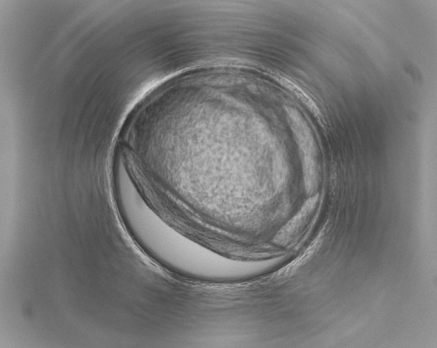 X0000115730989200912031402