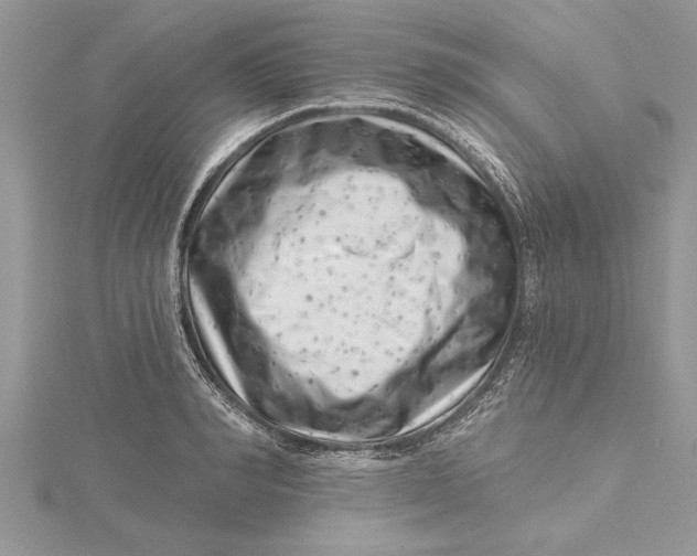 X0000115730990200912031402