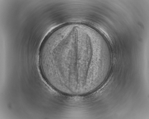 X0000115730992200912031402