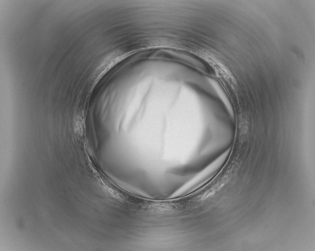 X0000115730993200912031402