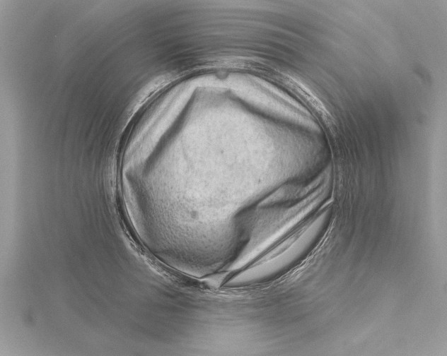 X0000115730994200912031402