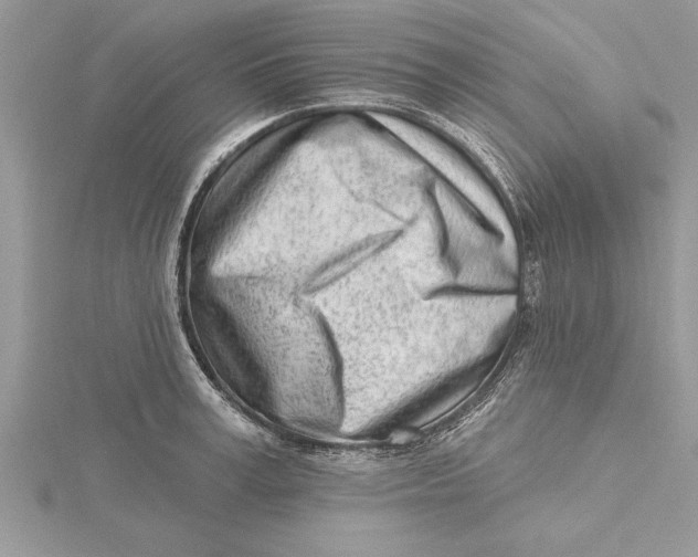 X0000115730995200912031402