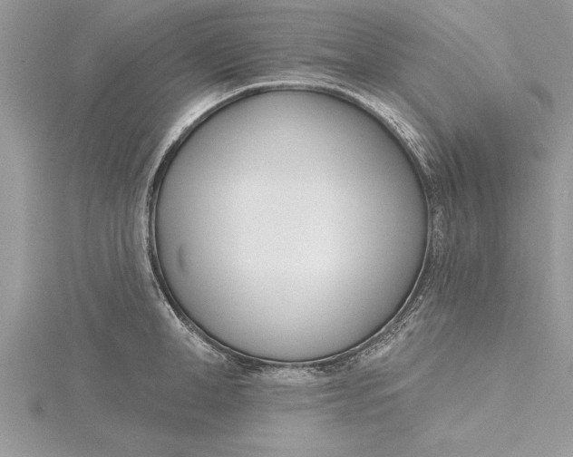 X0000115730998200912031402