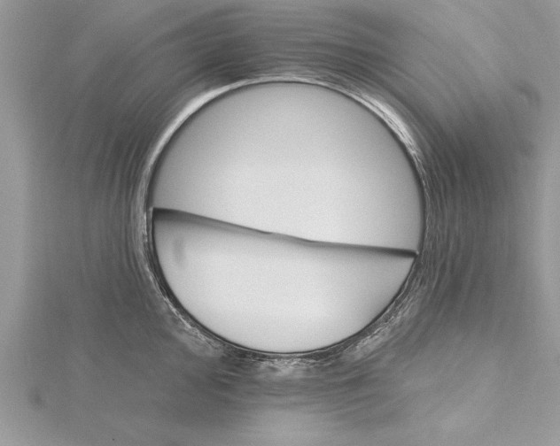 X0000115731000200912031402