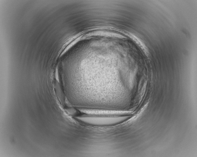 X0000115731001200912031402