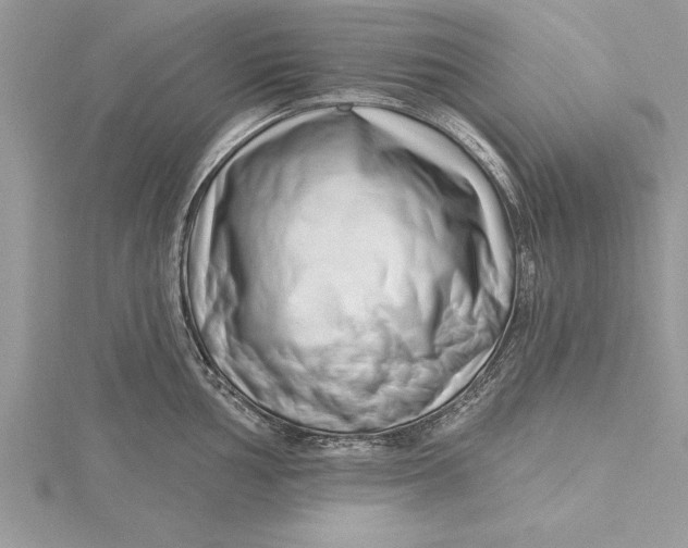 X0000115731002200912031402