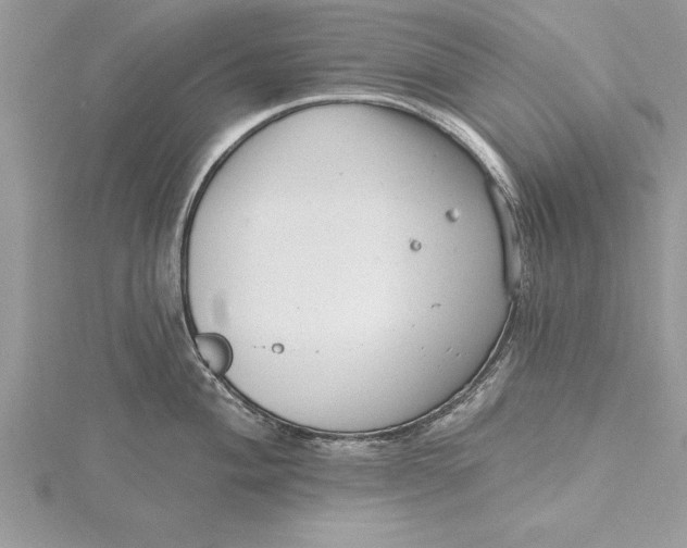 X0000115731004200912031402