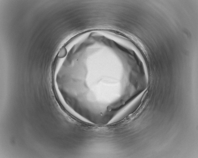 X0000115731006200912031402