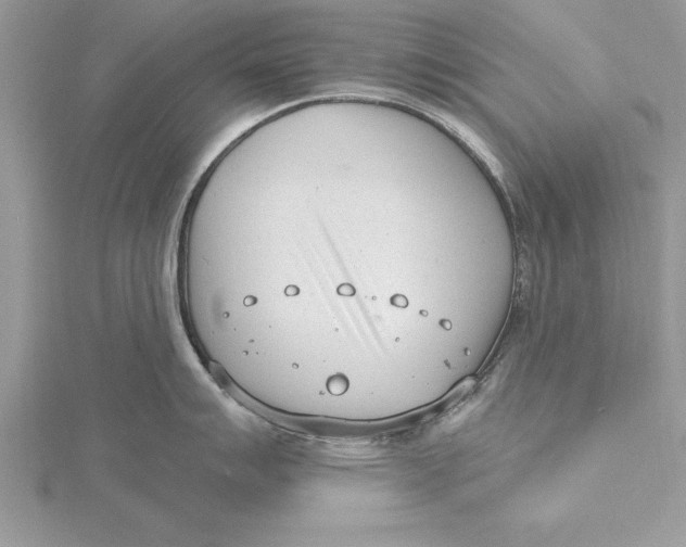 X0000115731007200912031402