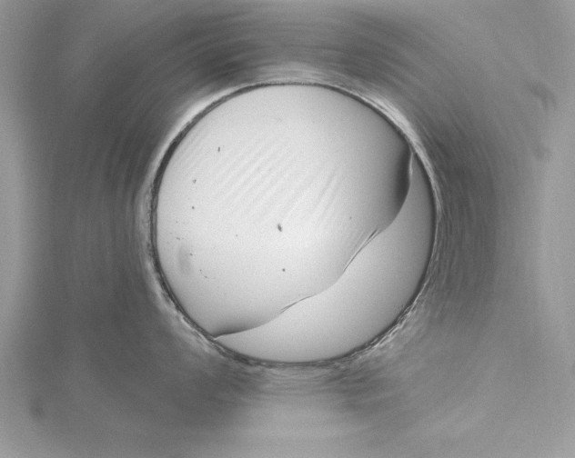 X0000115731008200912031402