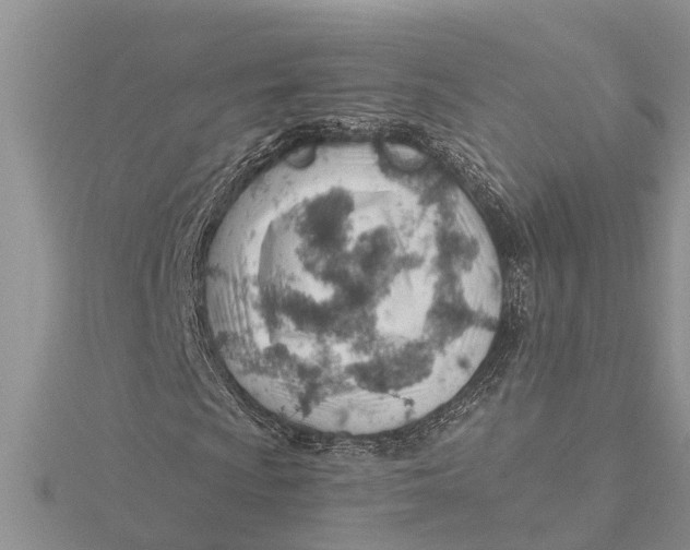 X0000115731009200912031402