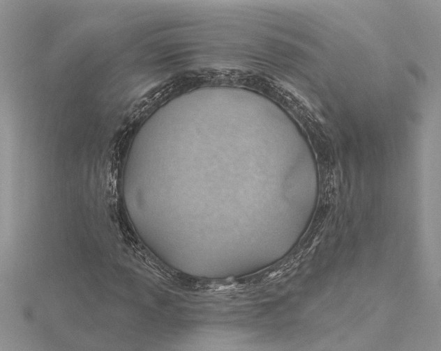 X0000115731013200912031402