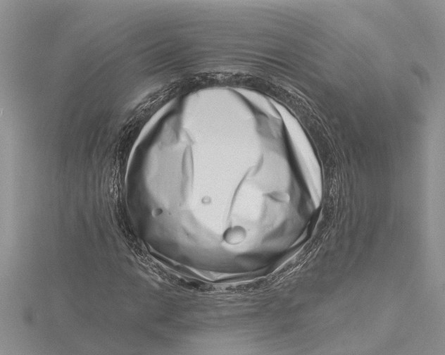 X0000115731014200912031402