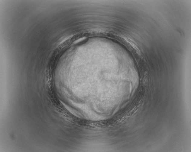 X0000115731015200912031402