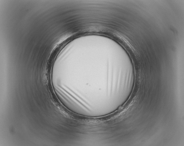 X0000115731018200912031402