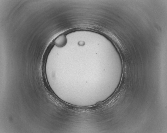 X0000115731020200912031402