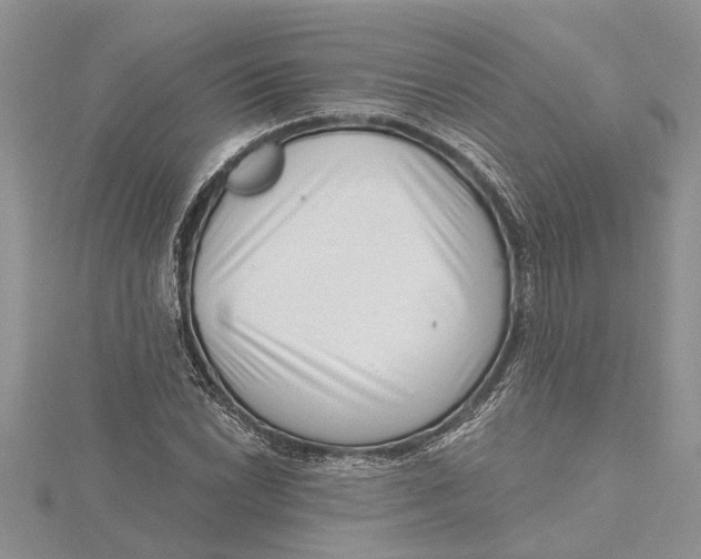 X0000115731022200912031402