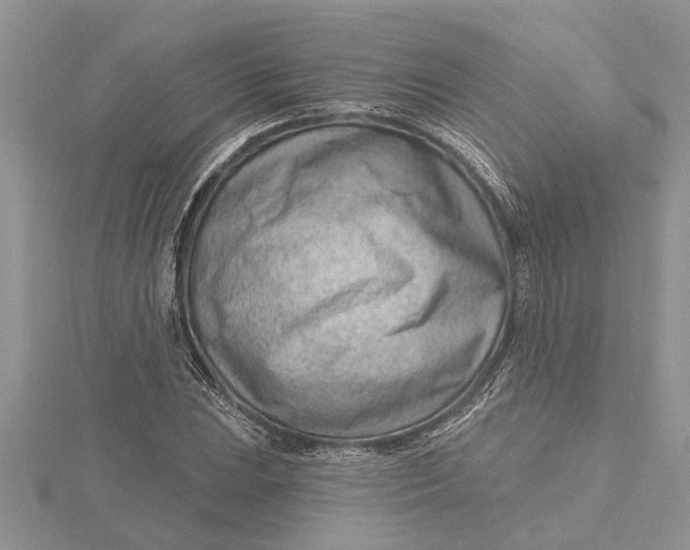 X0000115731023200912031402