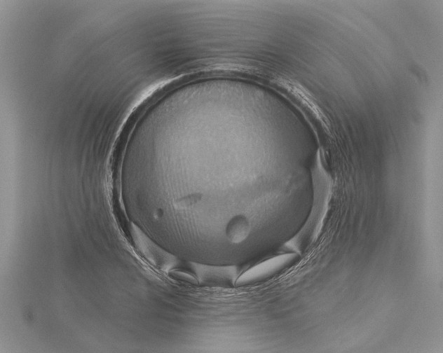 X0000115731024200912031402