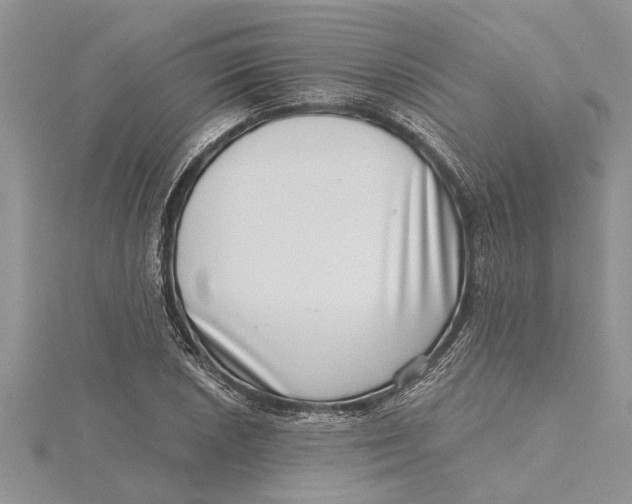 X0000115731026200912031402