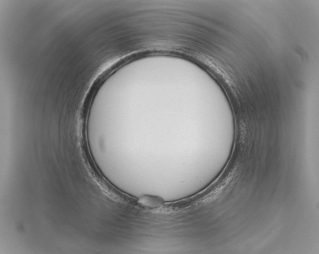 X0000115731029200912031402