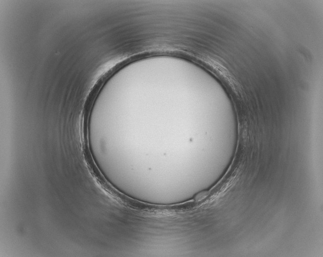 X0000115731030200912031402