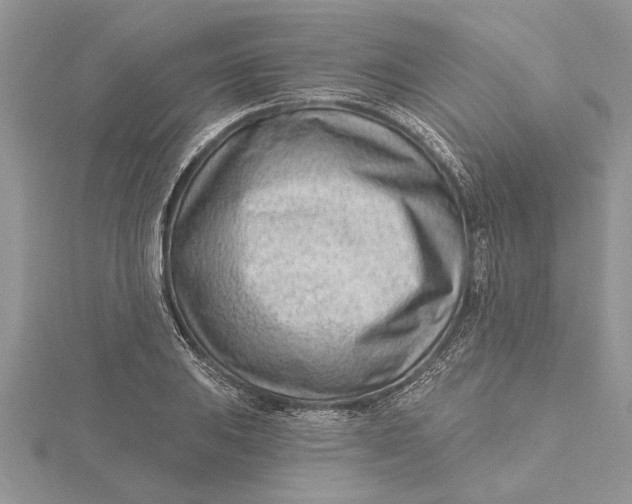 X0000115731031200912031402