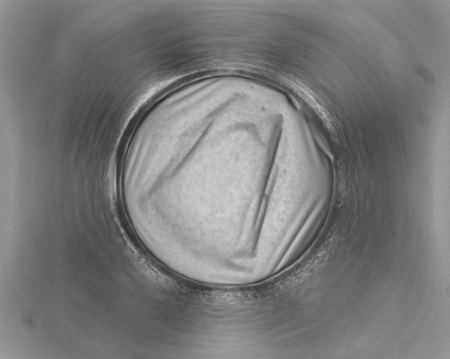 X0000115731032200912031402