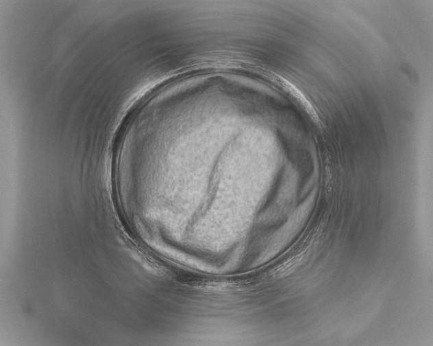 X0000115731035200912031402