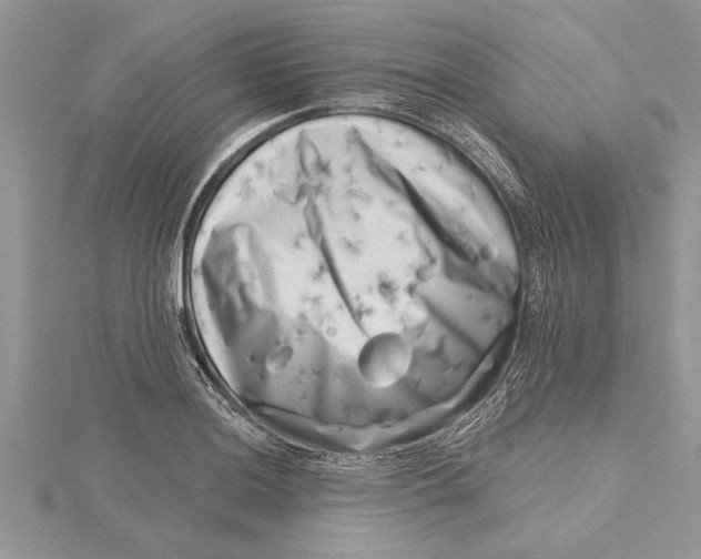 X0000115731036200912031402