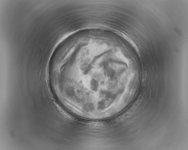 X0000115731037200912031402