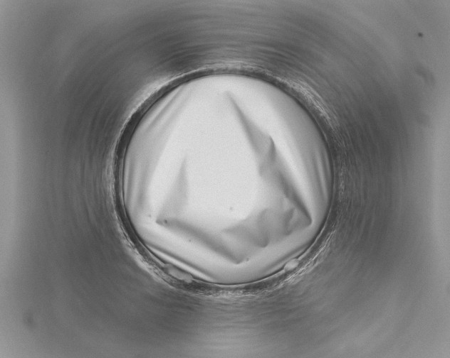 X0000115731038200912031402