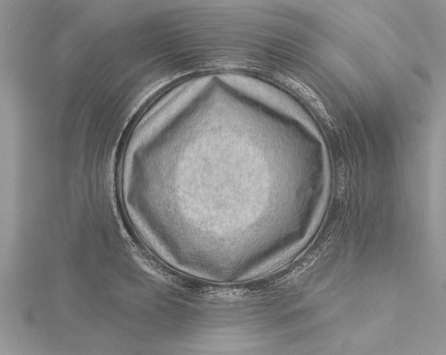 X0000115731039200912031402