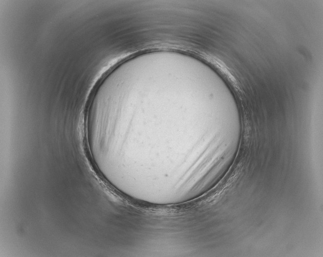 X0000115731040200912031402