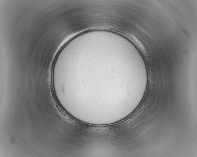 X0000115731044200912031402